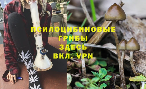 соль курить ск Алзамай