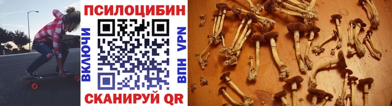 MEGA вход  купить наркотик  Ковылкино  Галлюциногенные грибы Psilocybine cubensis 